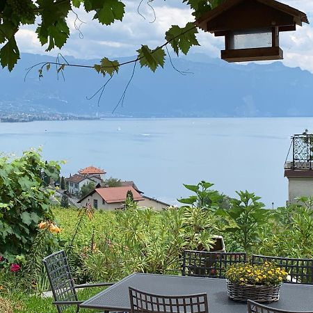 La Gremillette Gourmande Lavaux Διαμέρισμα Rivaz Εξωτερικό φωτογραφία