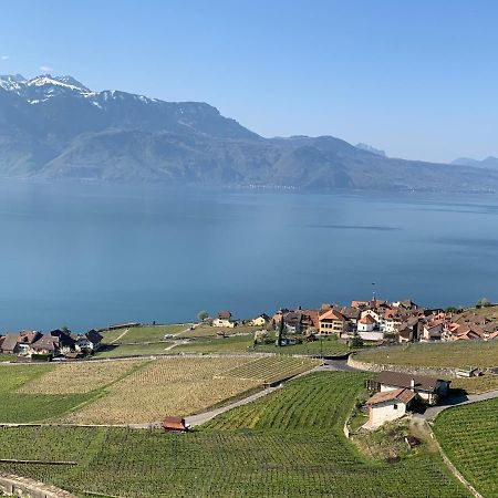 La Gremillette Gourmande Lavaux Διαμέρισμα Rivaz Εξωτερικό φωτογραφία