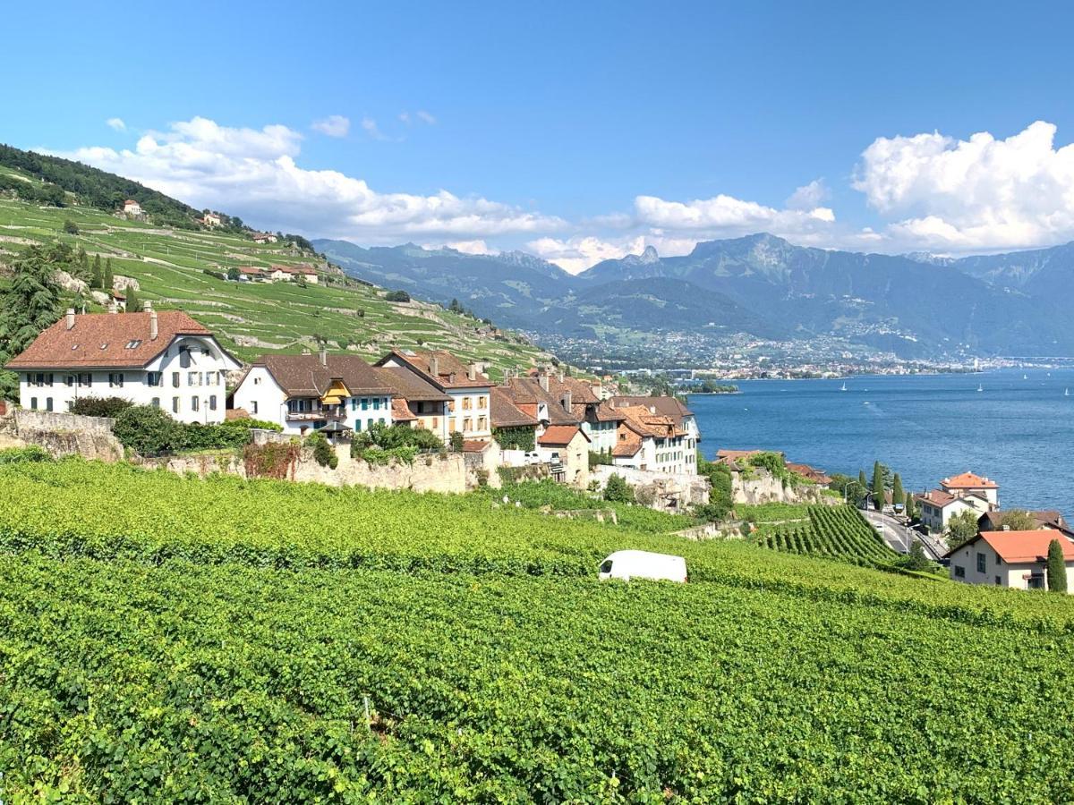 La Gremillette Gourmande Lavaux Διαμέρισμα Rivaz Εξωτερικό φωτογραφία