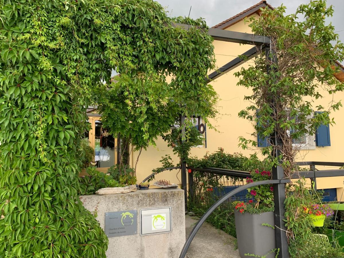 La Gremillette Gourmande Lavaux Διαμέρισμα Rivaz Εξωτερικό φωτογραφία