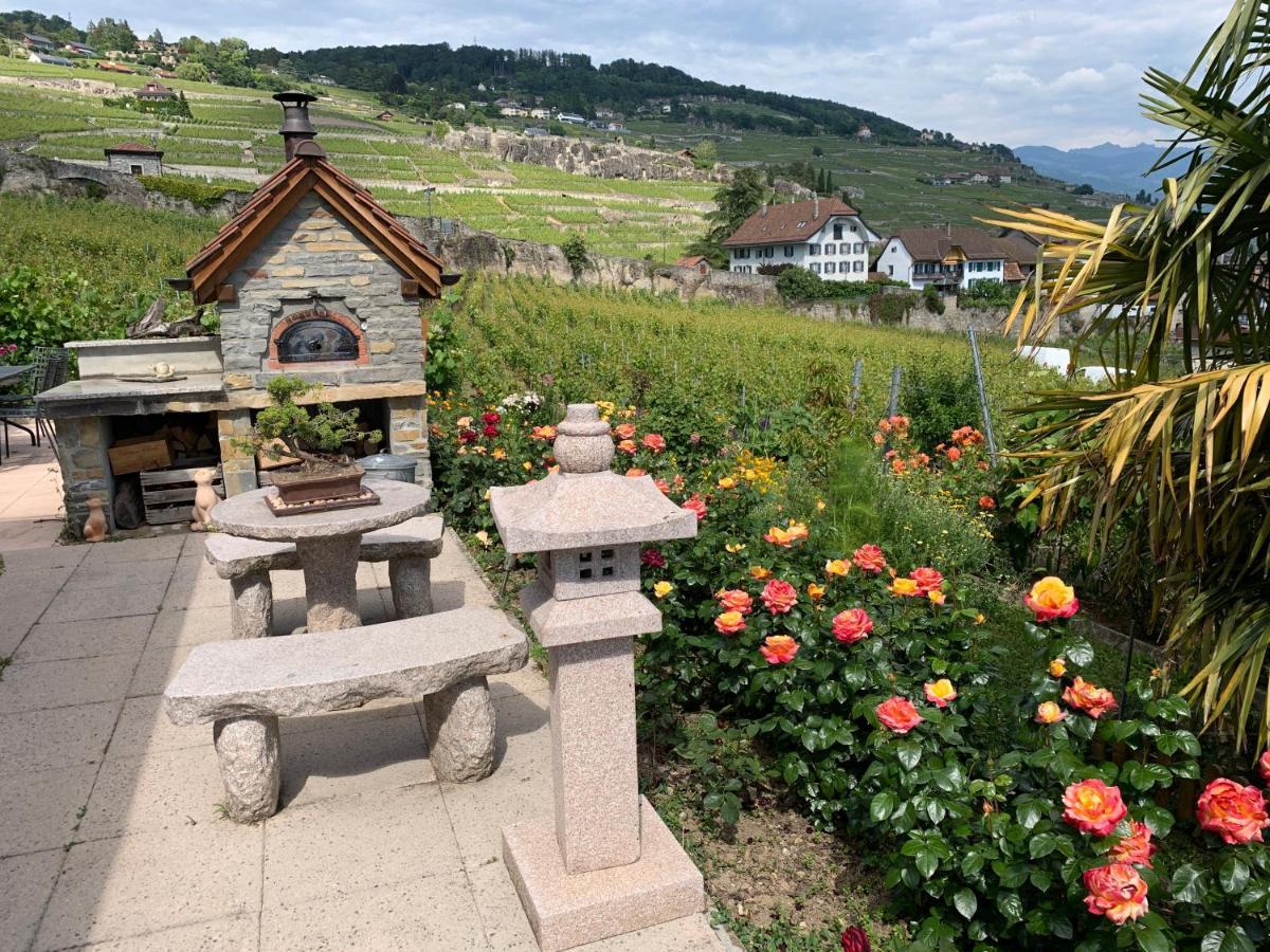 La Gremillette Gourmande Lavaux Διαμέρισμα Rivaz Εξωτερικό φωτογραφία