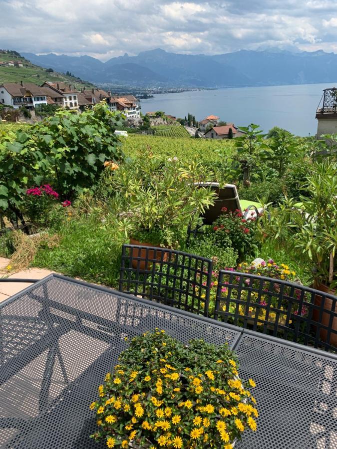 La Gremillette Gourmande Lavaux Διαμέρισμα Rivaz Εξωτερικό φωτογραφία