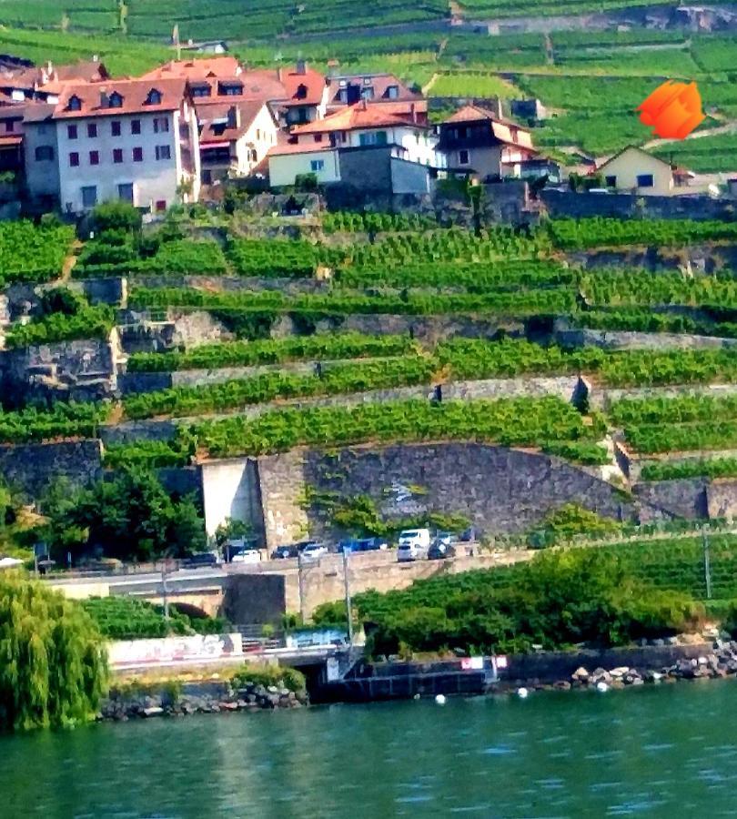 La Gremillette Gourmande Lavaux Διαμέρισμα Rivaz Εξωτερικό φωτογραφία