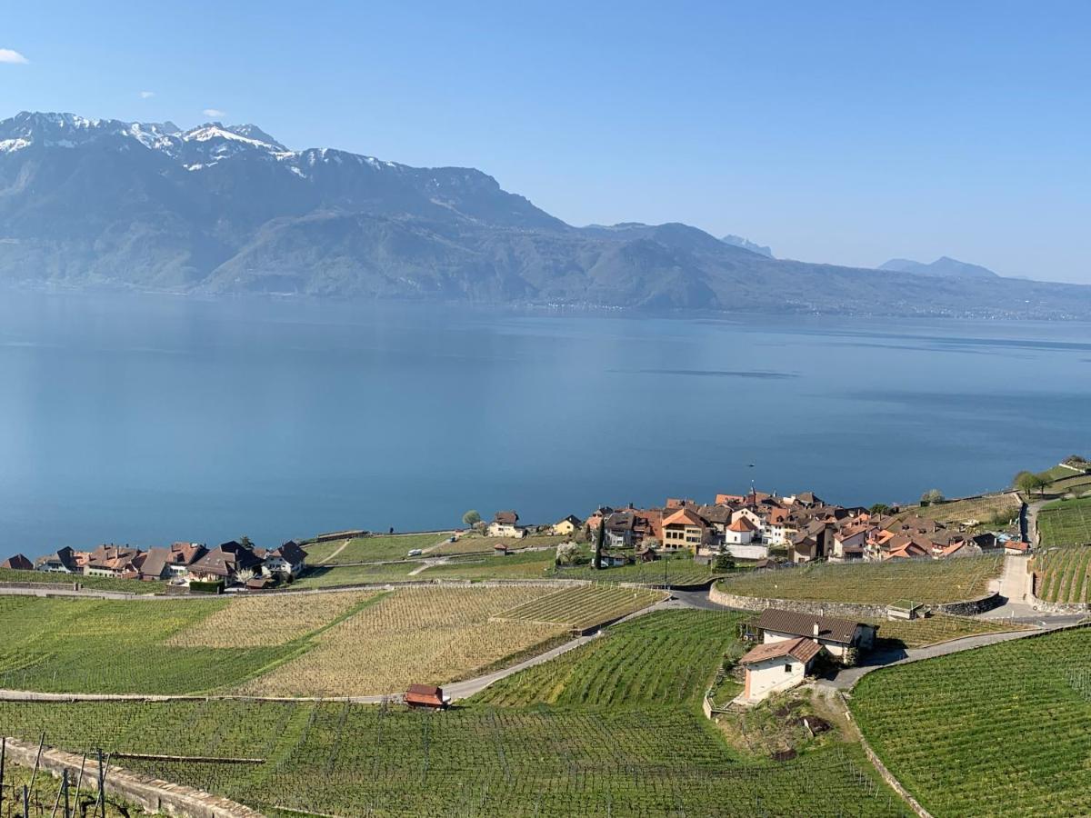 La Gremillette Gourmande Lavaux Διαμέρισμα Rivaz Εξωτερικό φωτογραφία