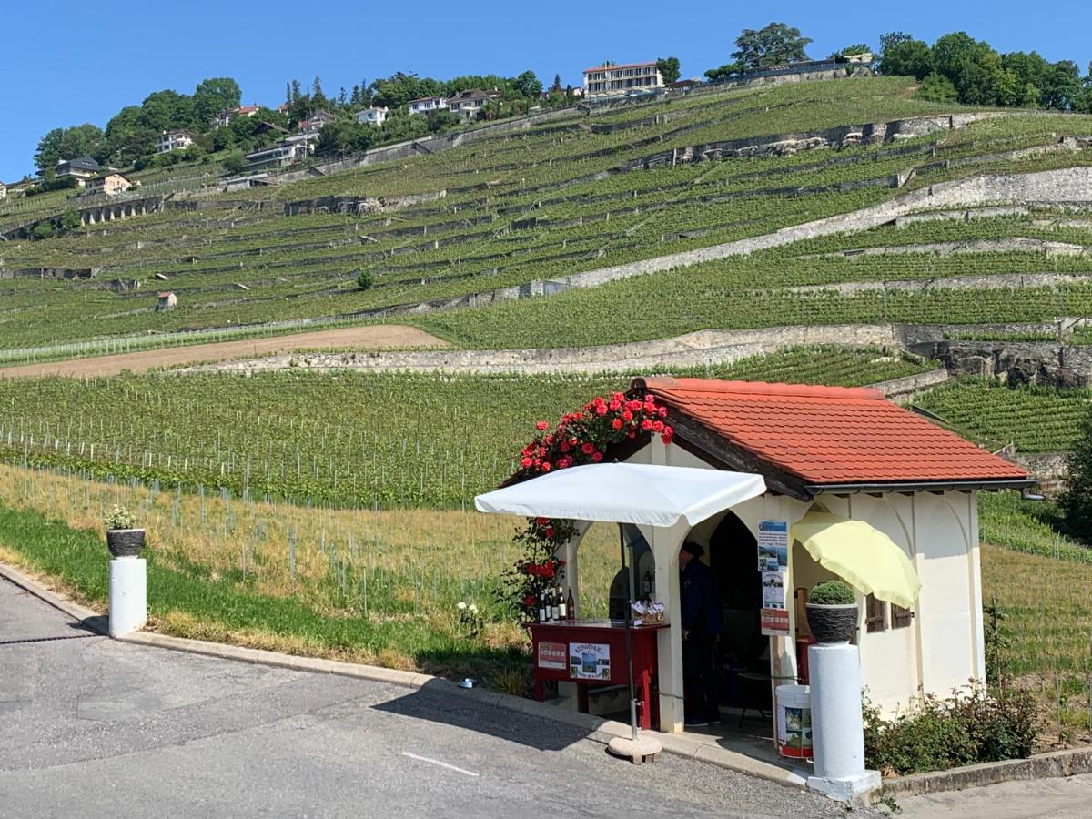 La Gremillette Gourmande Lavaux Διαμέρισμα Rivaz Εξωτερικό φωτογραφία