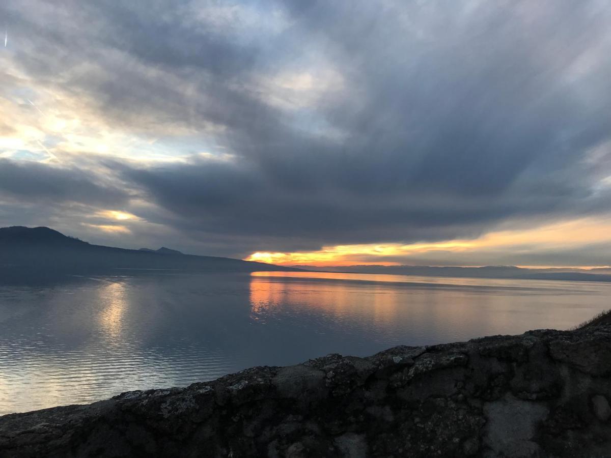 La Gremillette Gourmande Lavaux Διαμέρισμα Rivaz Εξωτερικό φωτογραφία