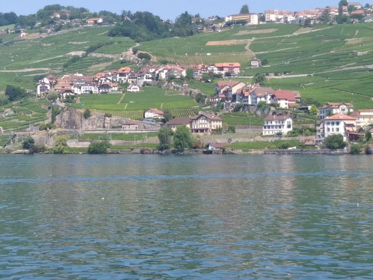 La Gremillette Gourmande Lavaux Διαμέρισμα Rivaz Εξωτερικό φωτογραφία