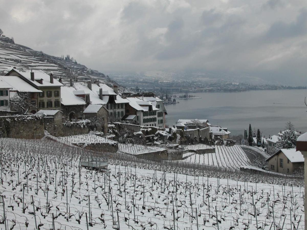 La Gremillette Gourmande Lavaux Διαμέρισμα Rivaz Εξωτερικό φωτογραφία